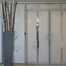 frosted window film, office, trees