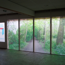 Frosted window film (2) printed, store, privacy