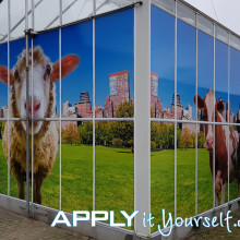 large, wall sticker, multiple windows, outside, outdoor, sheep, cow, window stickers, bespoke design