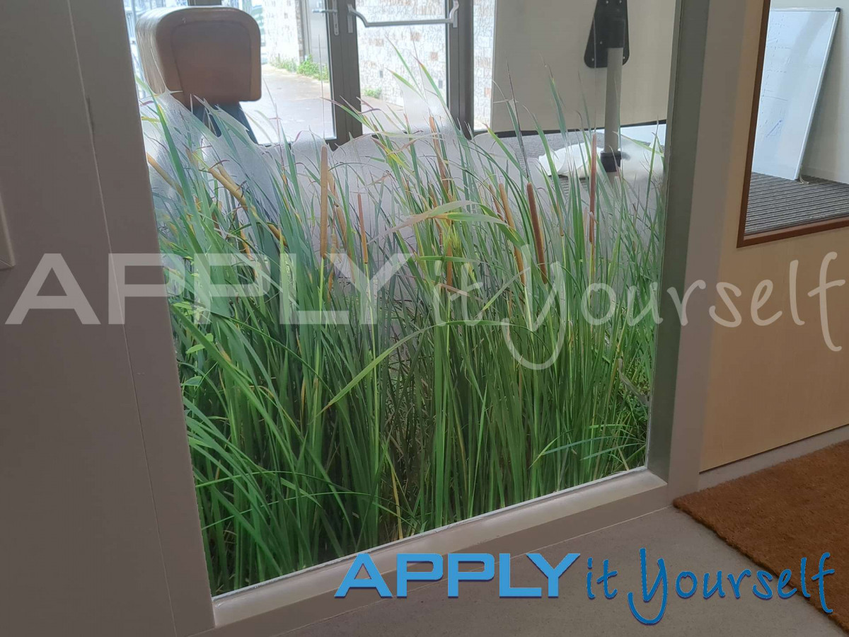 transparent window film, custom cut-to-shape design, school, reeds