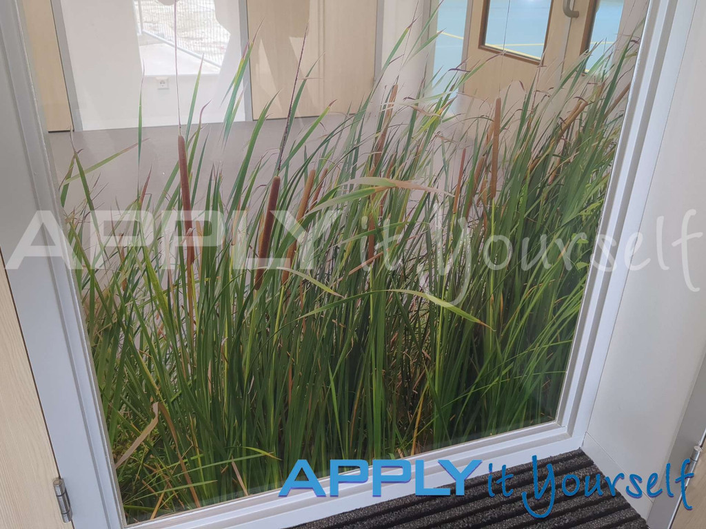 transparent window film, custom cut-to-shape design, school, reeds