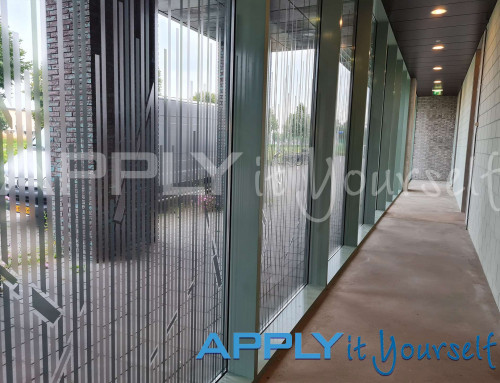 Transparent window film, custom line design, reeds, design across multiple windows, apartment building, inside view, multiple windows