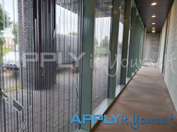 transparent window film, custom line design, reeds, design across multiple windows, apartment building, inside view, multiple windows