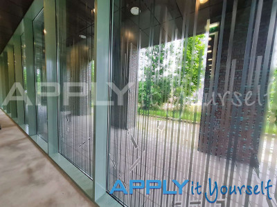 transparent window film, custom line design, reeds, design across multiple windows, apartment building, inside view