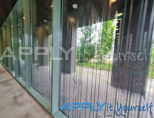 Transparent window film, custom line design, reeds, design across multiple windows, apartment building, inside view