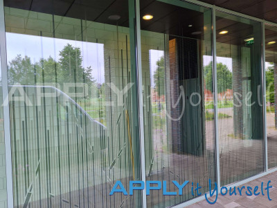 transparent window film, custom line design, reeds, design across multiple windows, apartment building, outside view