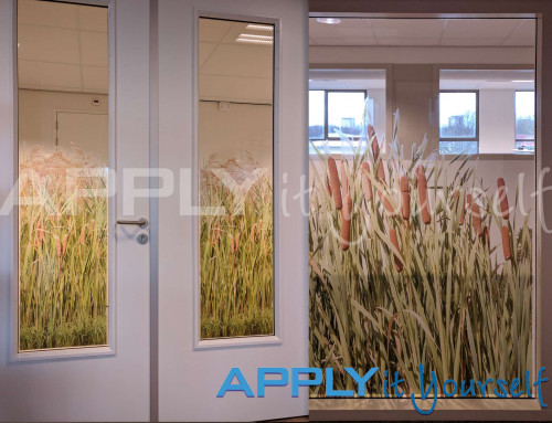 Transparent window film, custom design, reeds, design for windows and doors