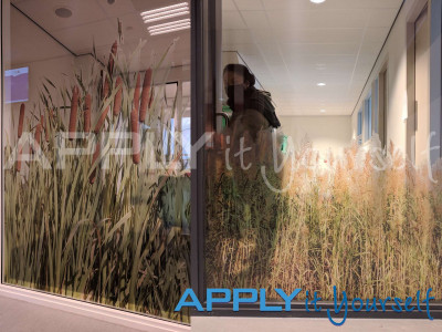 transparent window film, reeds, multiple designs