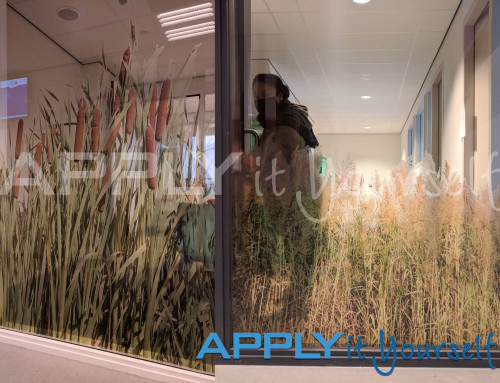 Transparent window film, reeds, multiple designs