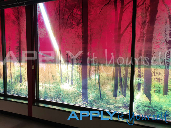 transparent window film, large forest photo, across multiple windows, design across multiple window