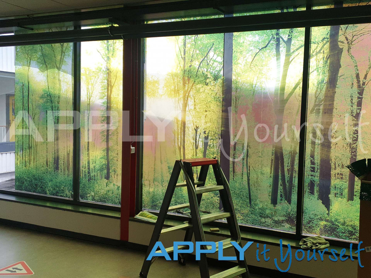 transparent window film, large forest photo, across multiple windows