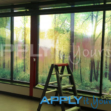 transparent window film, large forest photo, across multiple windows