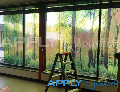 Transparent window film, large forest photo, across multiple windows