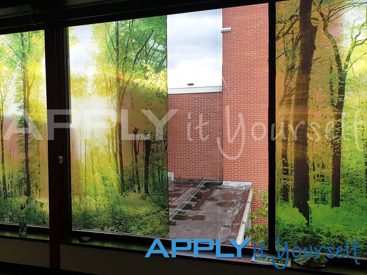 transparent window film, large forest photo, photo divided across multiple windows