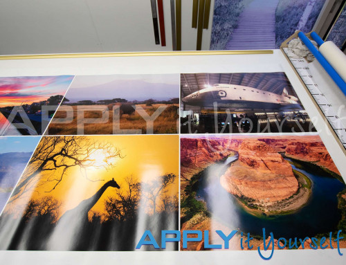 Transparent window film, photos, multiple windows