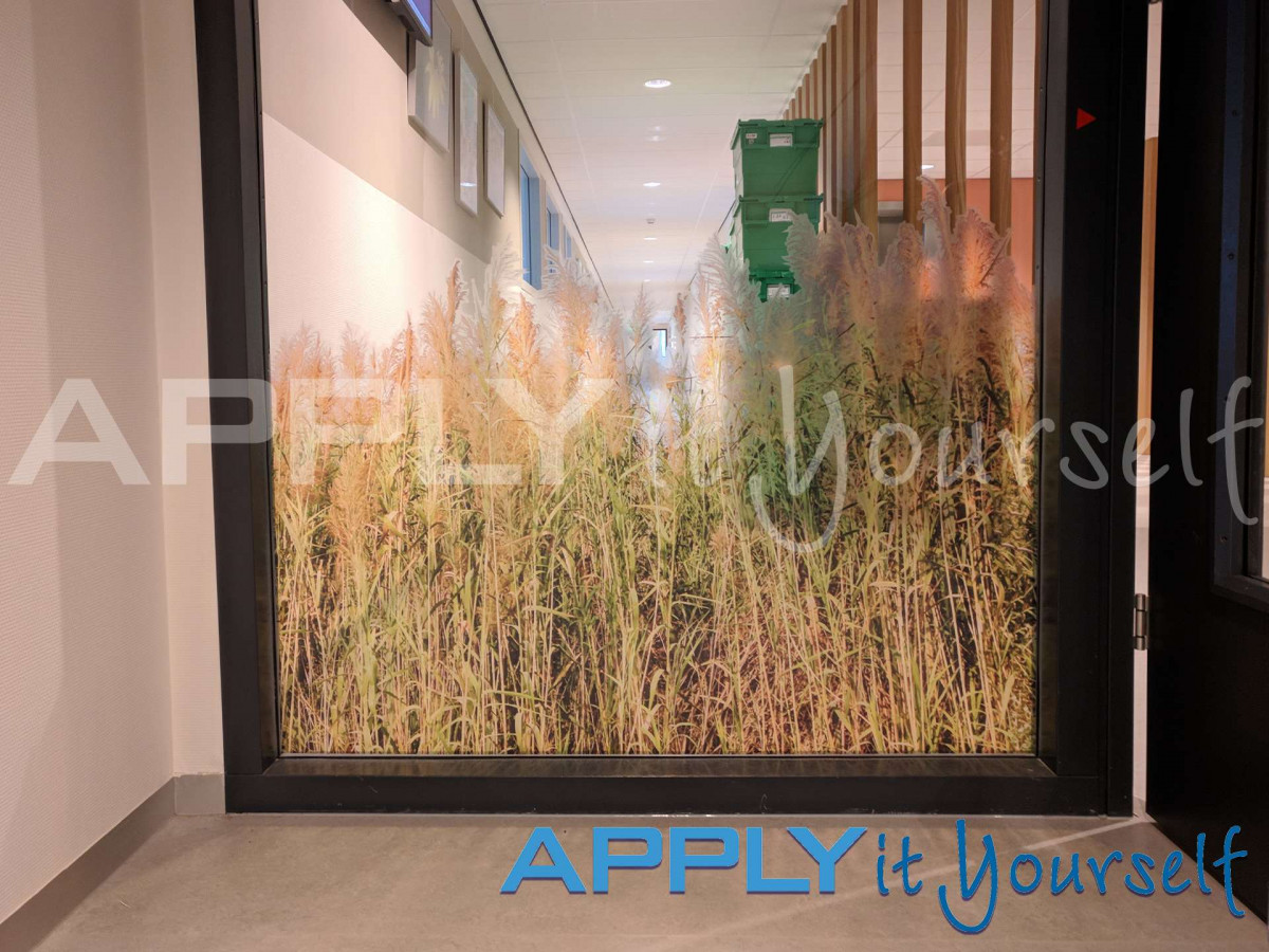 transparent window film, reeds, partial privacy, cut-to-shape, grass design