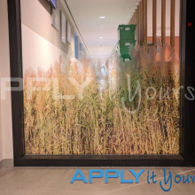 transparent window film, reeds, partial privacy, cut-to-shape, grass design