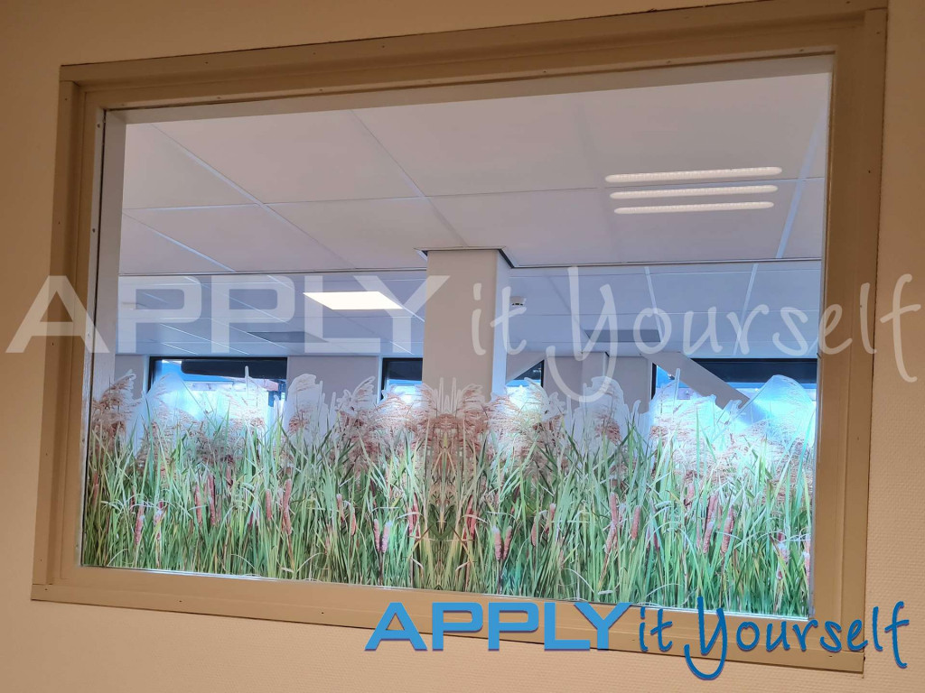 transparent window film, reeds, partial privacy, cut-to-shape