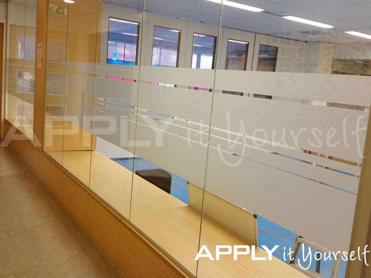 custom, frosted window film, partial privacy, school, gym, APPLYitYourself, R01